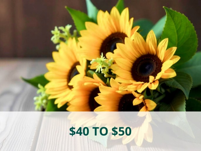 $40 to $50