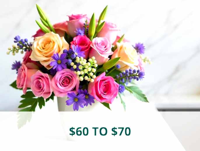 $60 to $70