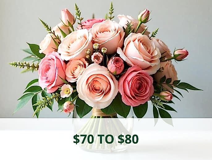 $70 to $80