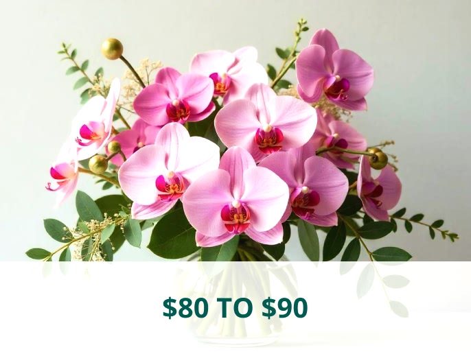$80 to $90