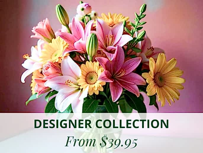 Designer Collection