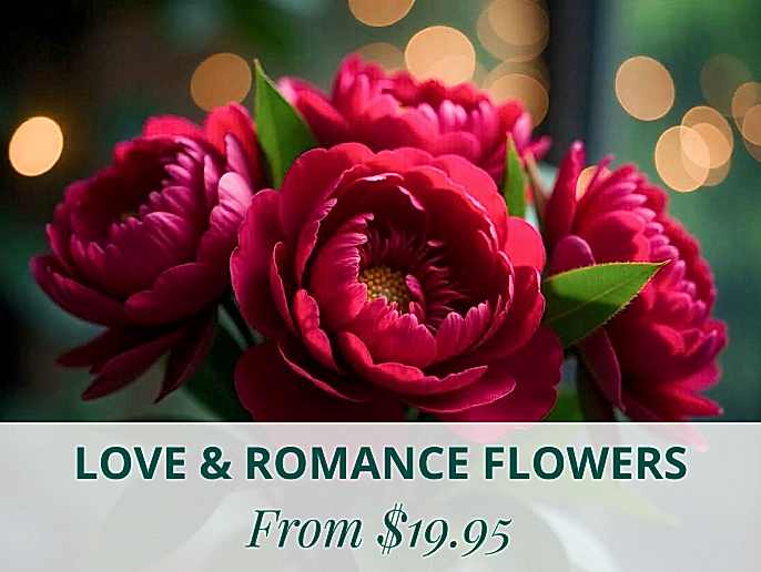 Love & Romance Flowers