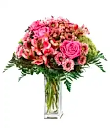 name: Blooming Blossoms