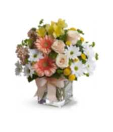 name: Garden Colours