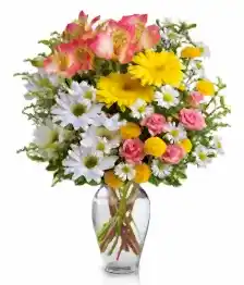 name: Blooms of Joy