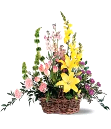 name: Springtime Basket