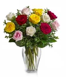 name: Dozen Long Stemmed Assorted Roses