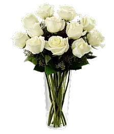 name: Dozen Long Stemmed White Roses