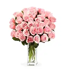 name: Three Dozen Long Stem Pink Roses
