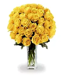 name: Three Dozen Long Stem Yellow Roses
