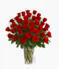 name: Three Dozen Long Stem Red Roses
