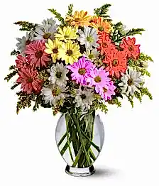 name: Classic Assorted Colour Daisy Bouquet