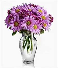 name: Classic Mauve Daisy Bouquet