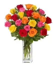 name: Two Dozen Long Stem Assorted Roses