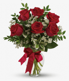 name: Half Dozen Long Stemmed Red Roses