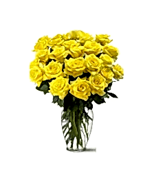 name: Two Dozen Long Stem Yellow Roses