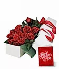 name: Dozen Boxed Red Roses & FREE Card