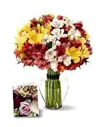 name: 100 Assorted Peruvian Lilies