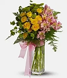name: Fresh & Fragrant