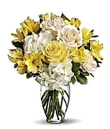 name: Joyous Delight