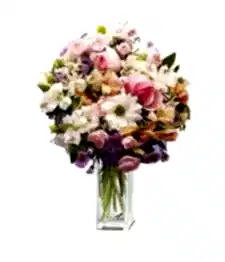 name: Pretty Posy