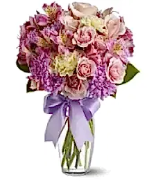 name: Pink Delight