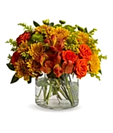 name: Autumn Garden