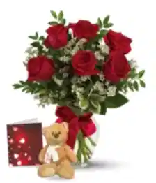 name: Half Dozen Red Roses, Card & Teddy