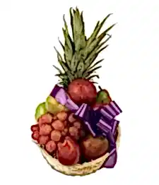 name: Fruit Splash