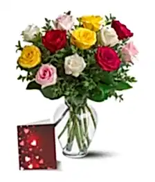 name: Dozen Mixed Roses, Vase & Card