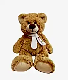 name: Teddy Bear