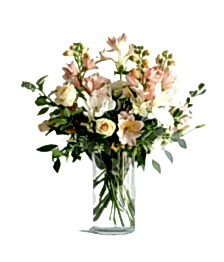 name: Delicate Elegance