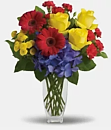 name: Birthday Designer Collection I