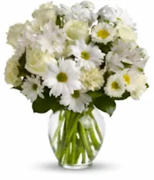 name: Designer Sympathy Collection I