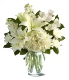 name: Designer Sympathy Collection II