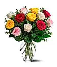 name: Friday Only Rose Special I