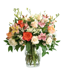 name: Blushing Elegance