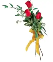 name: Touch Of Red Roses