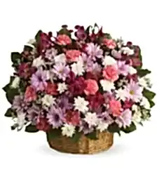 name: Rainbow Reflections Basket