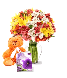 name: 50 Blooms of Peruvian Lilies Set