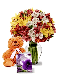 name: 100 Peruvian Lilies Set