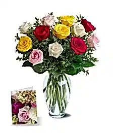 name: Rose Special I