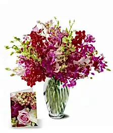 name: 100 Blooms of Orchids I