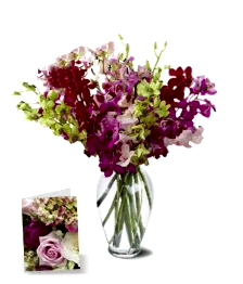 name: 50 Blooms of Orchids I