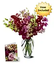 name: 50 Blooms of Orchids II