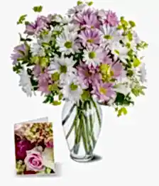 name: Sweet Blossoms Collection I