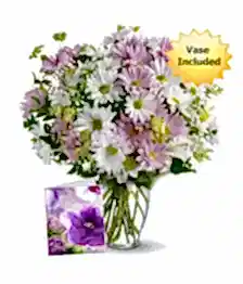 name: Sweet Blossoms Collection II