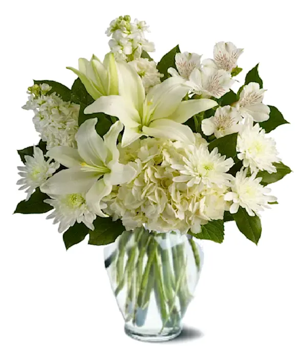 Designer Sympathy Collection II